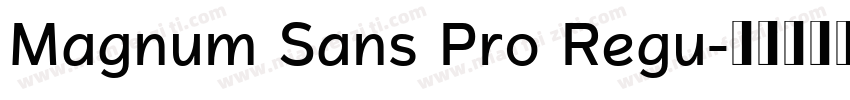 Magnum Sans Pro Regu字体转换